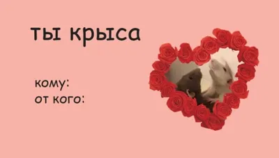 С Днем Святого Валентина поздравления на украинском языке – Люкс ФМ
