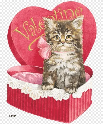 День святого Валентина, белая кошка …» — создано в Шедевруме