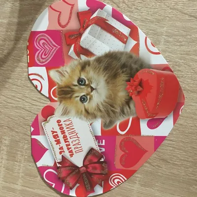 Нежные открытки с кошками к 14 февраля, Дню святого Валентина - скачать  бесплатно