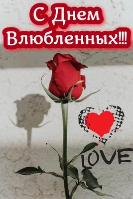 Стихотворение «День святого Валентина», поэт Козлова Марина