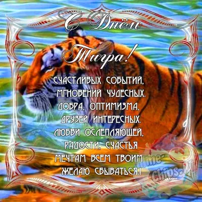Поздравить с днем тигра красивой картинкой в Вацап или Вайбер - С любовью,  Mine-Chips.ru