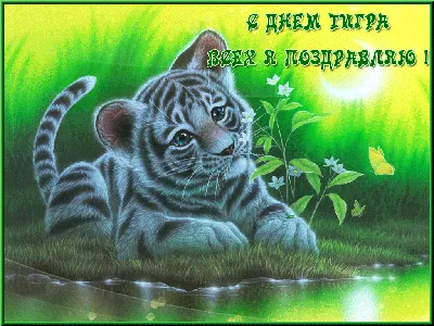 Поздравляем с днем тигра, красивая открытка - С любовью, Mine-Chips.ru