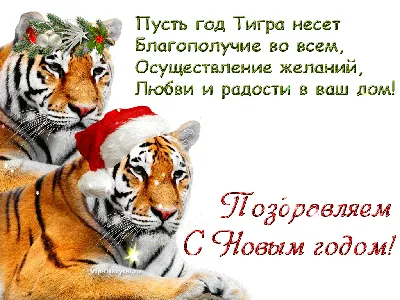 С Международным Днём Тигра! — Елена Замлынская на TenChat.ru