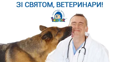 С Днем ветеринара 2021 Украина - история, поздравления, картинки — УНИАН