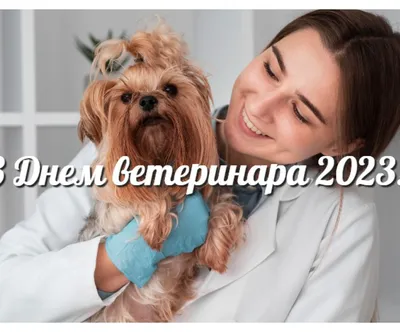 Международный день ветеринарного врача 2021, Кушнаренковский район — дата и  место проведения, программа мероприятия.