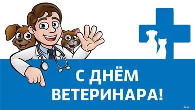 https://prazdniki.info/den-veterinara