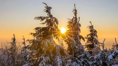 Открытки с Днем зимнего солнцестояния (50 картинок)