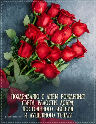 Сегодня поздравляем с Днем Рождения: Ксения Кузнецова  ([id152924126|@id152924126]), | Азира — Благотворительный фонд