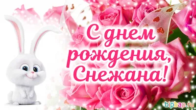 Поздравляем с Днём Рождения, открытка Снежана - С любовью, Mine-Chips.ru