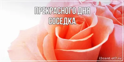 Грамота \"Чудесная соседка\" (ID#963949959), цена: 20 ₴, купить на Prom.ua