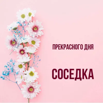 orialmira - С днём рождения меня😊мы стареем,дети взрослеют,внуки  растут🤔жизнь проходит,летит,бежит😀🌺🌺🌺🌺🌺а мы не сдаёмся самое главное  😀🌹🌹🌹🌹🌹#активподписки0110#деньрожденич#астрахань#семеновская#тверь#россия#мир#семья#бизнеса#бабушка#мама  ...