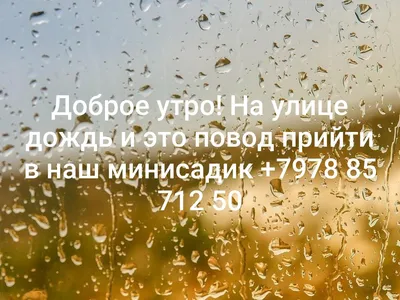 Идеи на тему «Дождливое доброе утро» (47) | доброе утро, открытки, утренние  цитаты