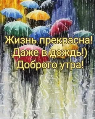 Доброе дождливое утро: фотографии для настроения - snaply.ru