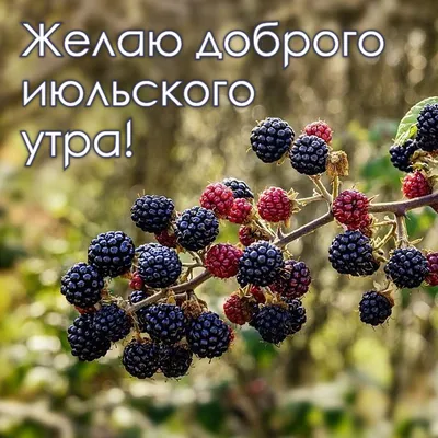 Открытки с добрым утром и здоровьем: фото - pictx.ru