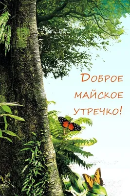 С добрым майским утром, с теплым светлым днем! в 2023 г | Одуванчики,  Цветочные картины, Красивые цветы