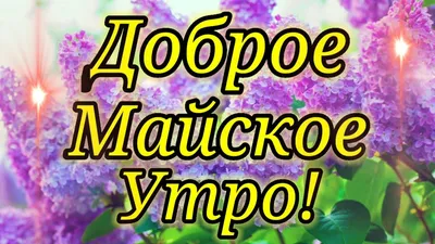 Картинки доброе майское утро (100 шт.)