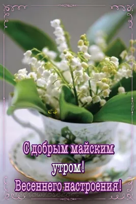 X 上的 Olgа🌺🌿：「@Alice_neighbour Доброе утро! Чудесного настроения, хорошей  погоды в этот замечательный день... https://t.co/9Wdv9YYcwJ」 / X