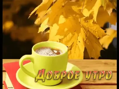 Картинка - Доброго сентябрьского утра!.