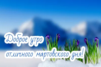 С Добрым Утром! 7 НОЯБРЯ. #пожеланиясдобрымутром #доброеутро #доброеут... |  TikTok