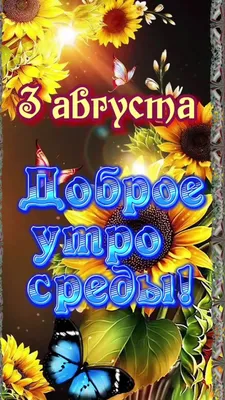 С Добрым Утром!!!#лето#август#утро | TikTok