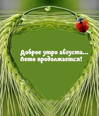 Открытка с именем Августа С добрым утром. Открытки на каждый день с именами  и пожеланиями.