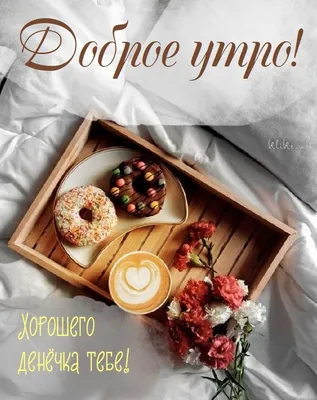 Доброе утро, девушки🌸 Хорошего дня! 😉 | Женский Северодвинск | ВКонтакте