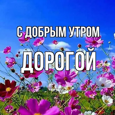 Картинки любимому мужчине С добрым утром ☀️⏰ - скачать (129 шт.)