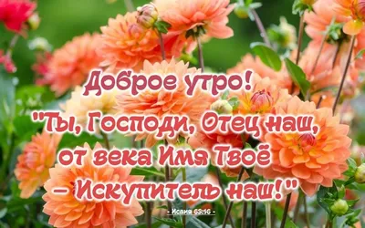 Христиане † - С добрым утром! Ищите Бога всем сердцем. В Нем источник  жизни! | Facebook