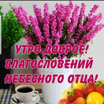 доброе утро #доброеутро #люди #православие | Доброе утро, Милые открытки,  Открытки