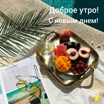 С добрым утром!🤗🌷☀️ | Доброе утро, Утренние сообщения, Лето