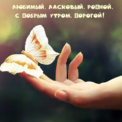 Доброе утро: красивые фотографии, картинки и изображения - pictx.ru