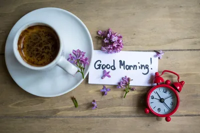 Доброе утро завтрака и текста в французском Стоковое Фото - изображение  насчитывающей варенье, хорошо: 111572384