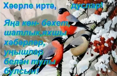 Добрый вечер на татарском языке красивые открытки - 69 фото