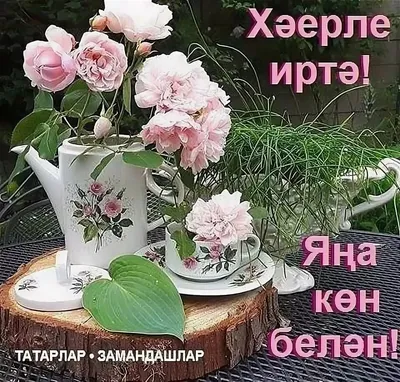 Доброе Утро Любимый На Татарском Языке Картинки – Telegraph