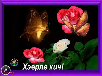 Хэерле иртэ! 80 картинок на татарском языке