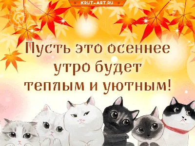 Добрый вечер на татарском: фотографии, изображения, картинки - pictx.ru