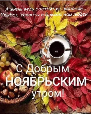 Доброе утро! Сегодня 24 ноября (пятница), в Российской Федерации отмечается  день моржа! Поздравляем.. | ВКонтакте
