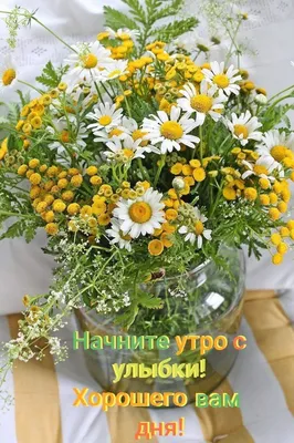 Pin by Каролина on Доброе утро | Flower arrangements, Flowers bouquet,  Spring flowers