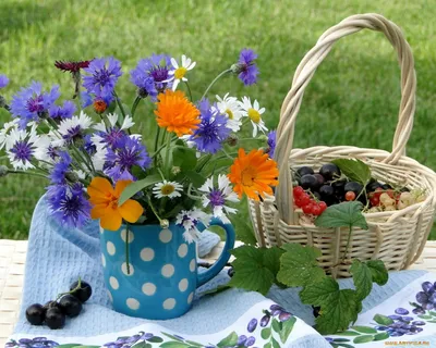 С добрым утром! ❀пожелания❀ ♪♫💚🧡☘️🧡💚♫♪ | Полевые цветы, Цветы, Луговые  цветы