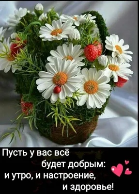 Создать мем \"утро цветы, доброго утра, доброе утро цветы\" - Картинки -  Meme-arsenal.com