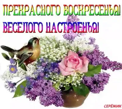 Создать мем \"доброе утро хорошего дня, цветы, цветы полевые\" - Картинки -  Meme-arsenal.com