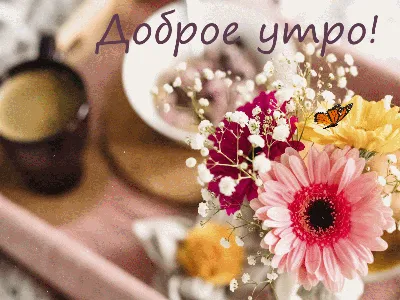 ШКОЛА Моделей Анны Комкиной - С добрым утром, милые Леди!🌸 Прекрасного  дня! #доброеутро #полевыецветы # | Facebook