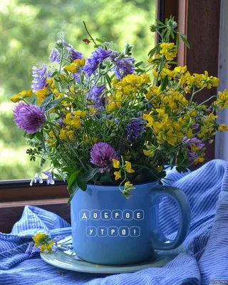 Доброе утро полевые цветы с надписями - фото и картинки abrakadabra.fun