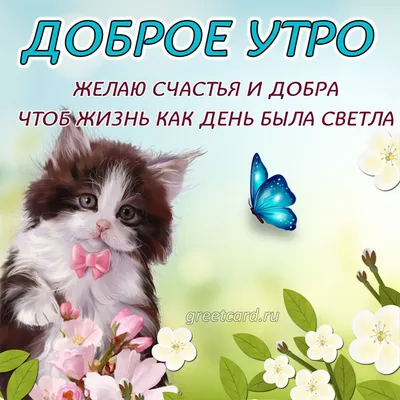 с добрым утром и хорошего дня с котиками отккрытки｜Поиск в TikTok