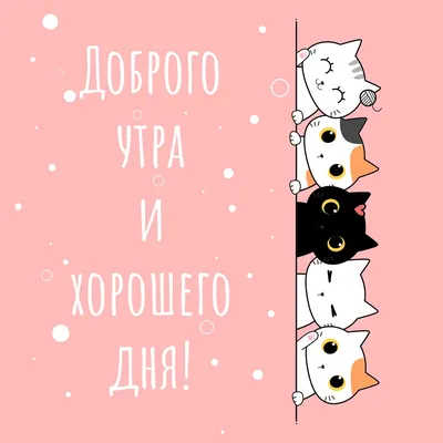 Доброе утро открытки с котами зимние (35 фото) » рисунки для срисовки на  Газ-квас.ком
