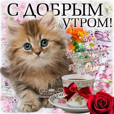 Открытка на доброе утро с котиком и букетом роз - поздравляйте бесплатно на  otkritochka.net