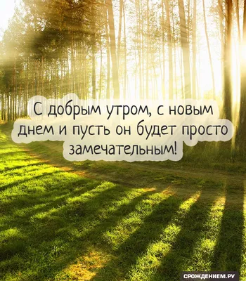 С добрым утром,новым днем и пусть…» — создано в Шедевруме