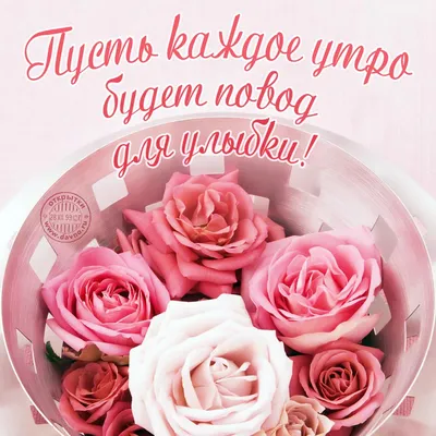 Розово-золотые розы в сердце от 41 шт. за 10 790 руб. | Бесплатная доставка  цветов по Москве
