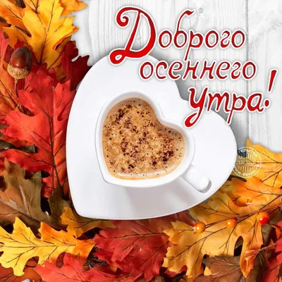 Пин от пользователя Светлана Попова на доске Доброе утро | Осенний пейзаж,  Вдохновляющие жизненные цитаты, Пейзажи
