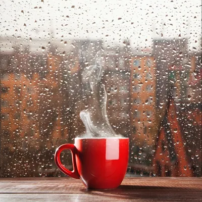 Картинки доброе утро в дождливую погоду красивые с надписью (56 фото) »  Картинки и статусы про окружающий мир вокруг
